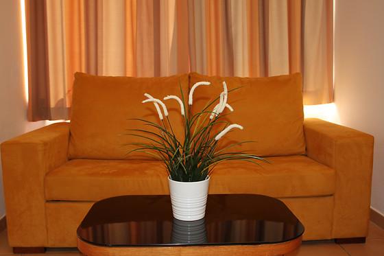 HOTEL PINHAL DO SOL - photo 5