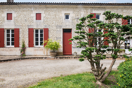 Domaine des Tonneaux - photo 1