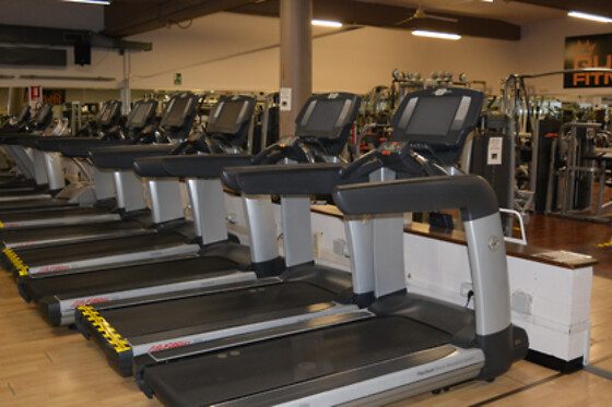 Queen Fitness - photo 5