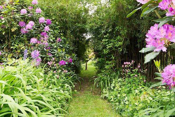 Arts in the Garden - photo 18