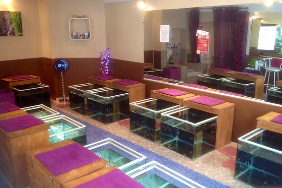 Instant Fish Spa - photo 1