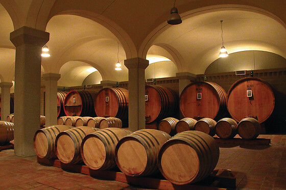 Casa Vinicola Triacca - photo 6