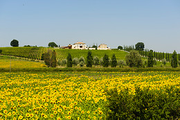 Park Hotel Montigeto