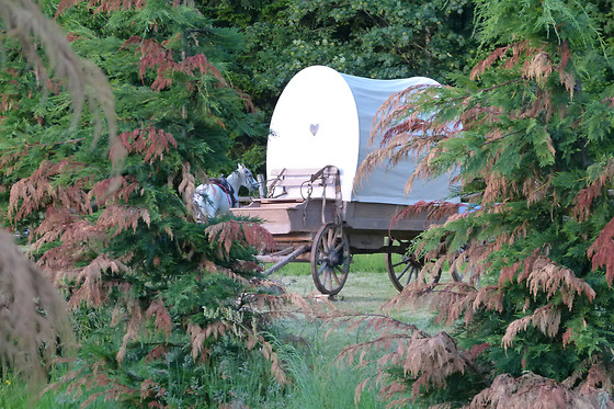 La Ferme Aventure - photo 9