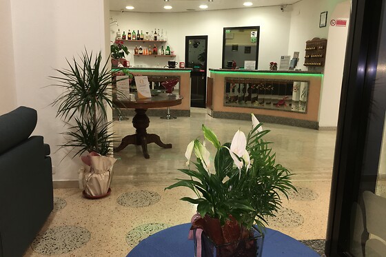 Hotel Villa Camilla - photo 2