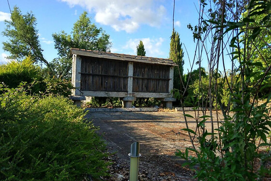 A CASA DA SOFIA - photo 5