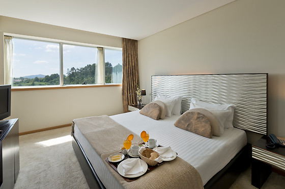 PENAFIEL PARK HOTEL & SPA - photo 13