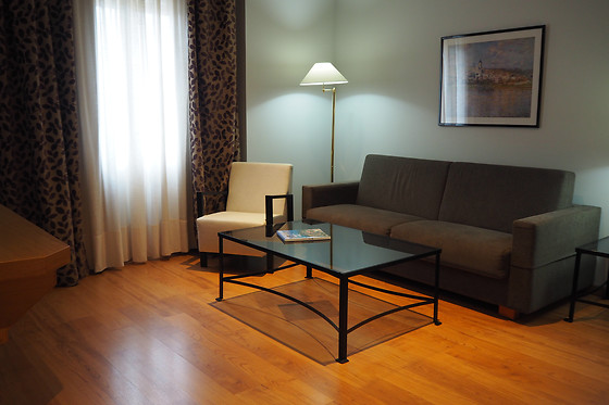 HOTEL VEGAS ALTAS - photo 10