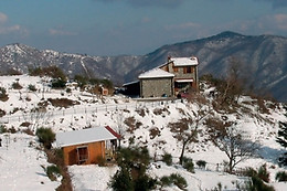 Azienda Agrituristica della Barcareccia
