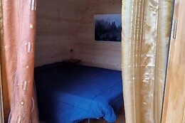La Grande Pigna Tra Gli Alberi