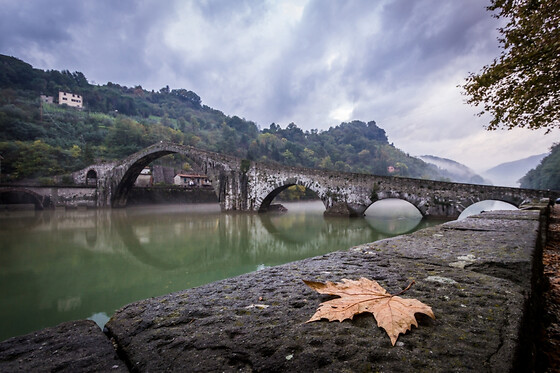 Bridge Hotel - photo 6
