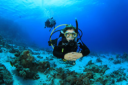 Dive'n Sail