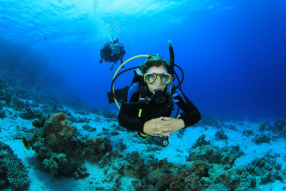 Dive'n Sail - photo 0
