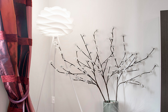 ODELIA Nature - photo 9
