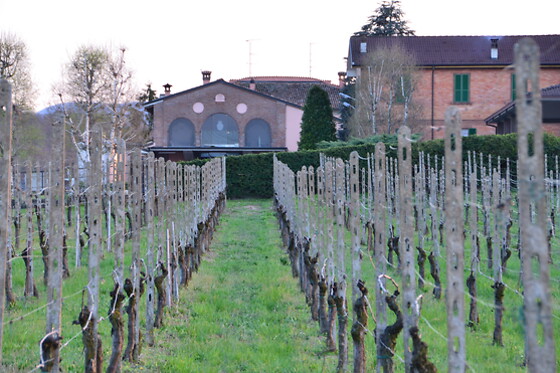 Montesissa - photo 1