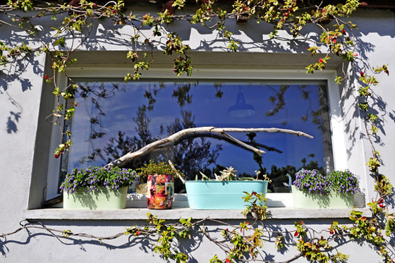 La terre brulée - photo 12