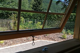 Au cœur du pin sylvestre