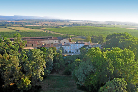 Château Auzias - photo 17