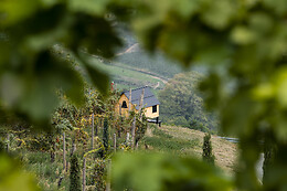 Podere Cavaga