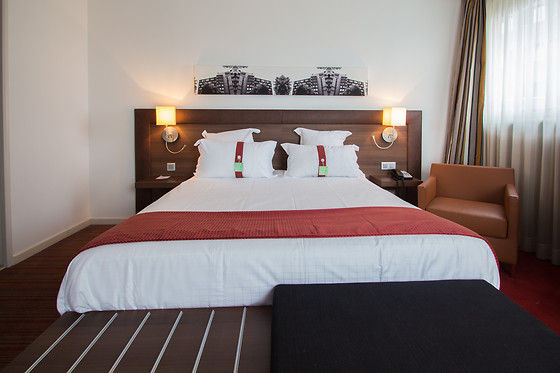 Holiday Inn Mulhouse - photo 14