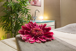 Holiday Inn Mulhouse