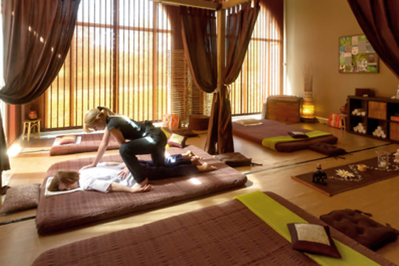 Spa Asian Villa - photo 5