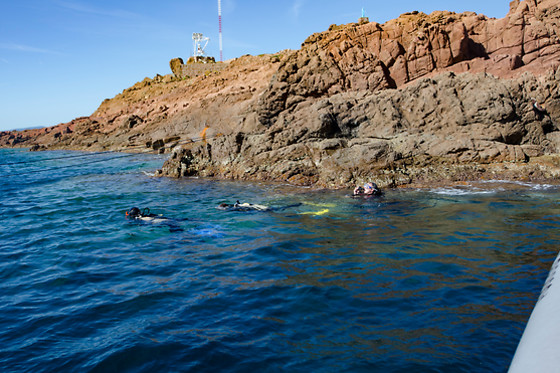 Aquatic Rando - photo 8