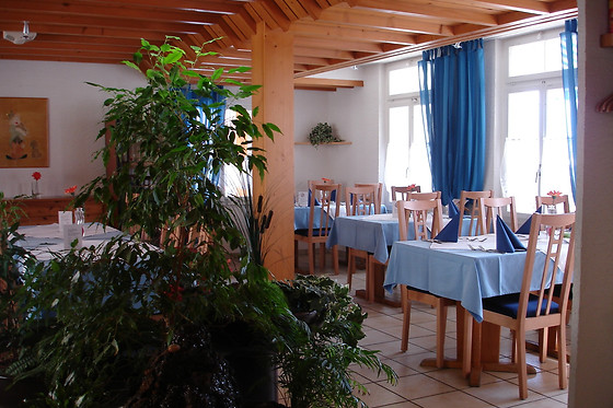 Seehotel Sternen Brienz - photo 8