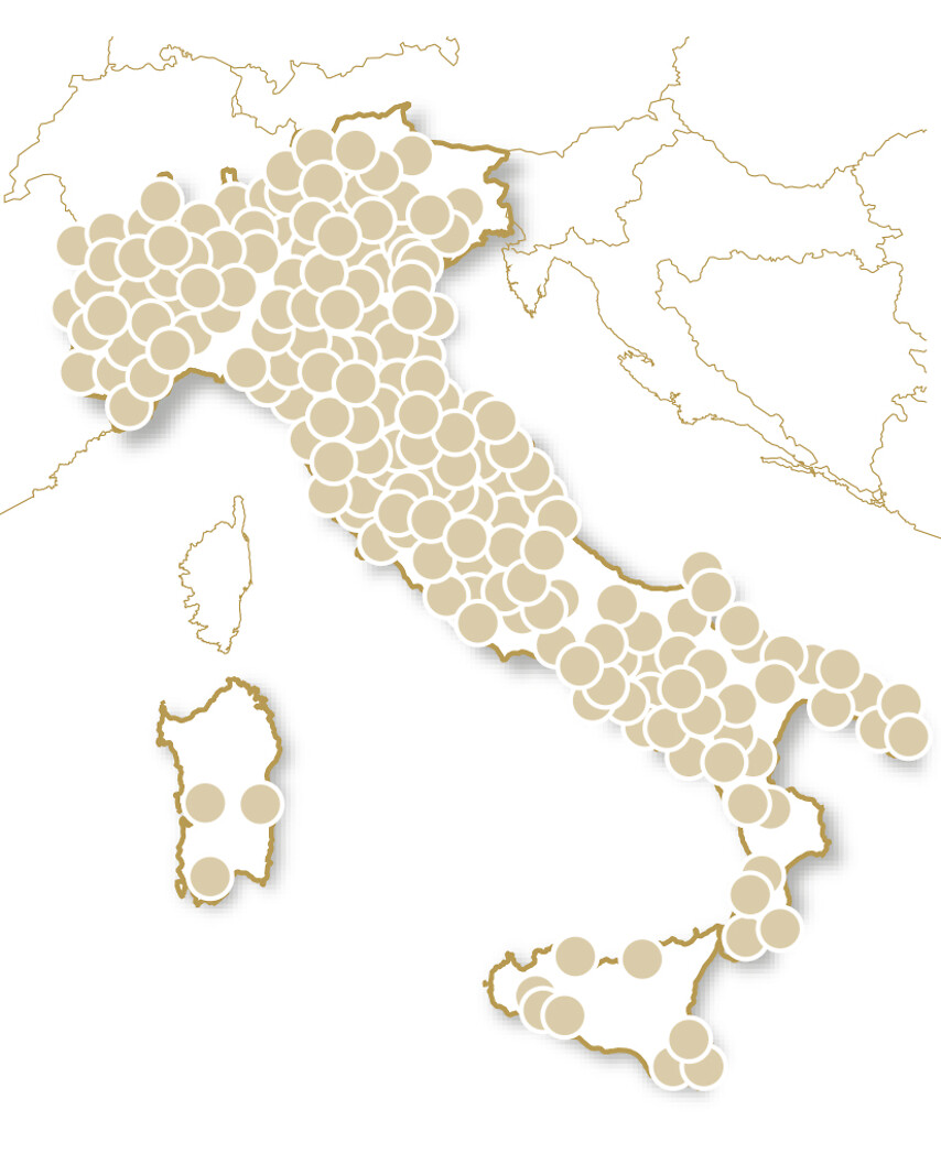 Viva gli sposi! - Incanto