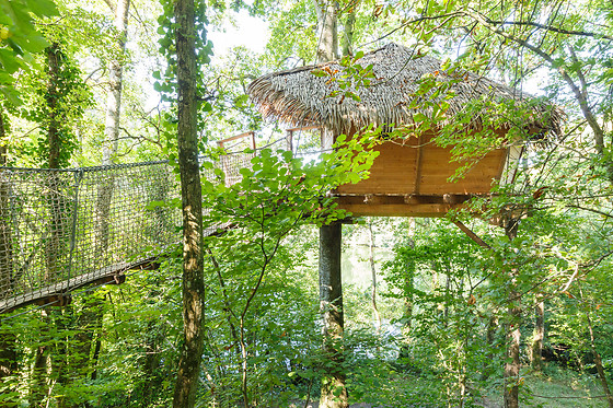 Domaine des Vaulx - photo 0