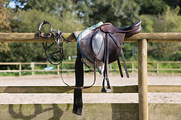 Sables d'Or Equitation