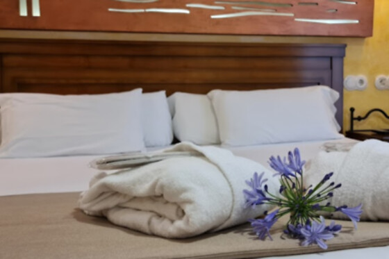 HOTEL COMENDADOR SPA - photo 15