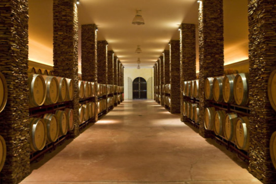 HERDADE DOS GROUS - photo 7