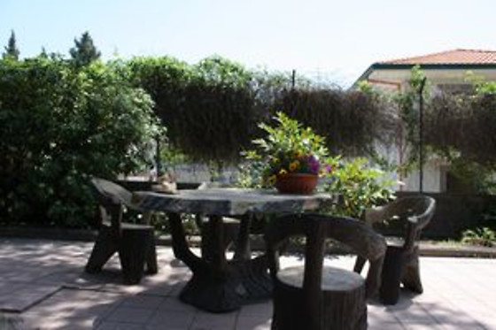 B&B Athena Garden - photo 3