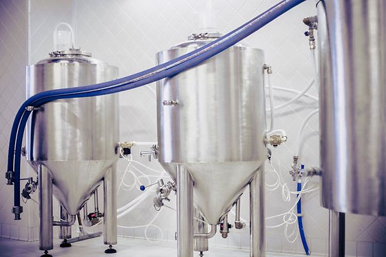 Beerstorming - photo 3