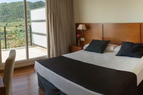 COMPLEJO ROMA & HOTEL SPA SINAGOGA - photo 1