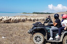 BG Racing Tour in Quad