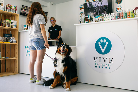 MISTER PET RESORT - photo 3