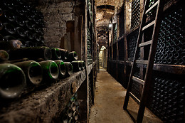 BODEGAS OSBORNE MONTECILLO