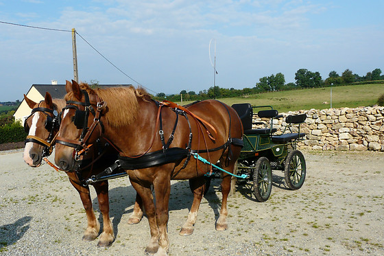Le Pot au Lait - photo 6