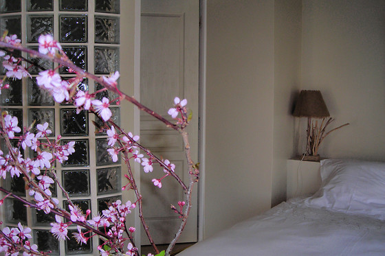 Le clos Sainte Anne - photo 2