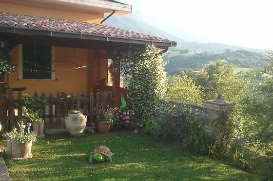 Agriturismo le Ginestre - photo 4