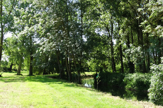 Le Moulin de Reigner - photo 9