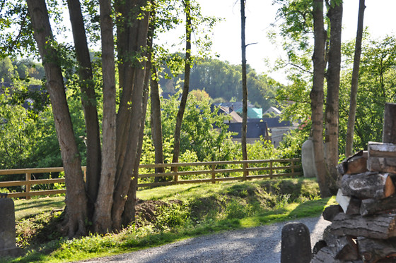 River Lodge Maredsous - photo 14