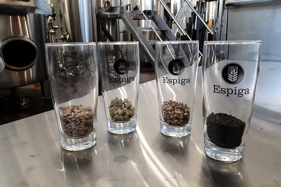 MICROCERVECERÍA ESPIGA - photo 0