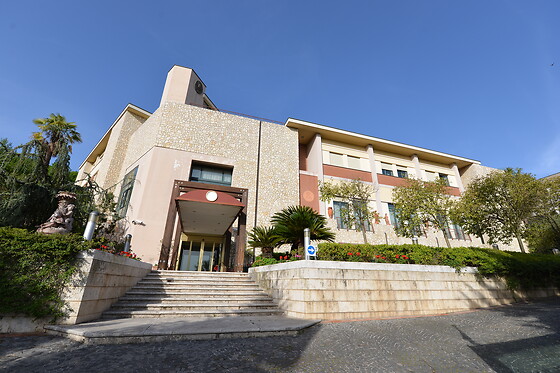 Solofra Palace Hotel & Resorts**** - photo 5