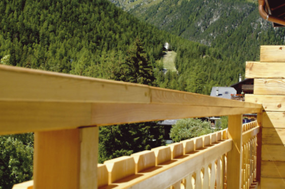Hotel du Glacier - photo 6