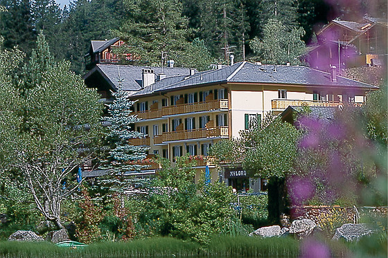 Hotel du Glacier - photo 7