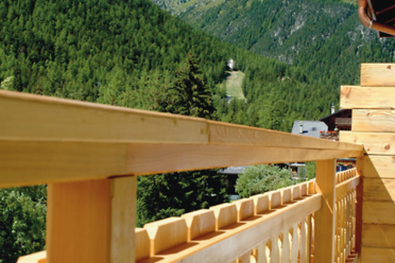 Hotel du Glacier - photo 9