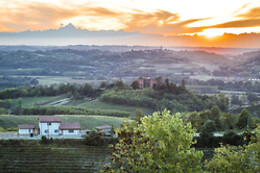 B&B Il Grappolo